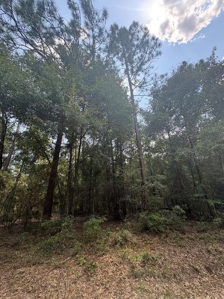 0.49 Ac Spring Creek Drive, Donalsonville, GA 39845 - #1