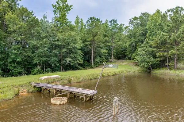110ac Cotton Hill Road, Fort Gaines, GA 39851