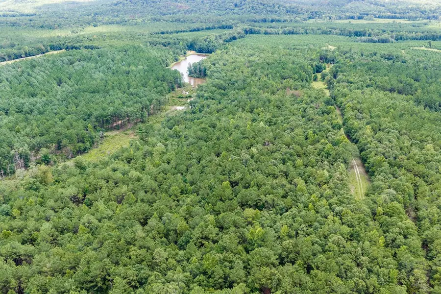 110ac Cotton Hill Road, Fort Gaines, GA 39851 - #2