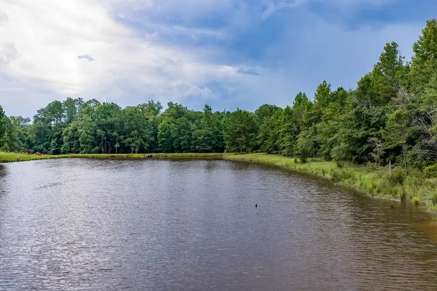 110ac Cotton Hill Road, Fort Gaines, GA 39851 - #3