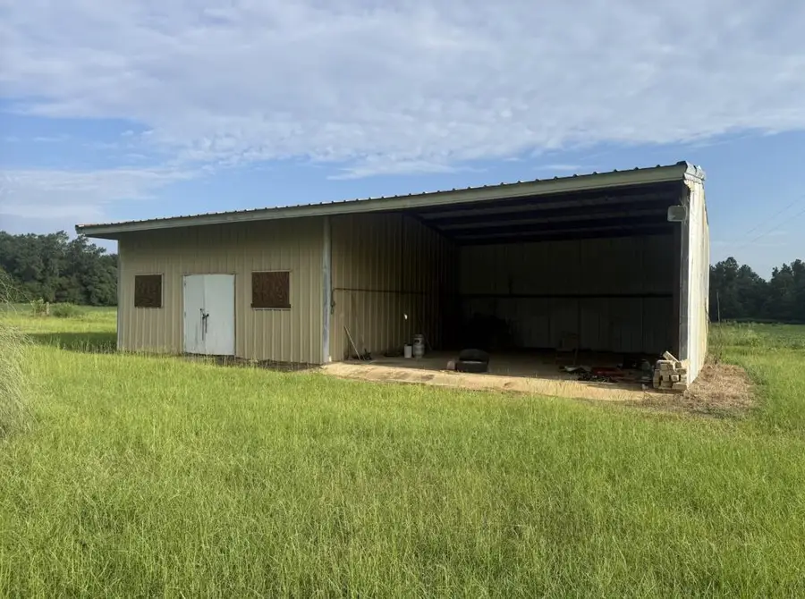 1033 County Line Road, Colquitt, GA 39837 - #3