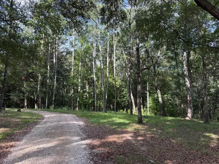 3016-E Hadley Ferry Road, Cairo, GA 39828 - #2