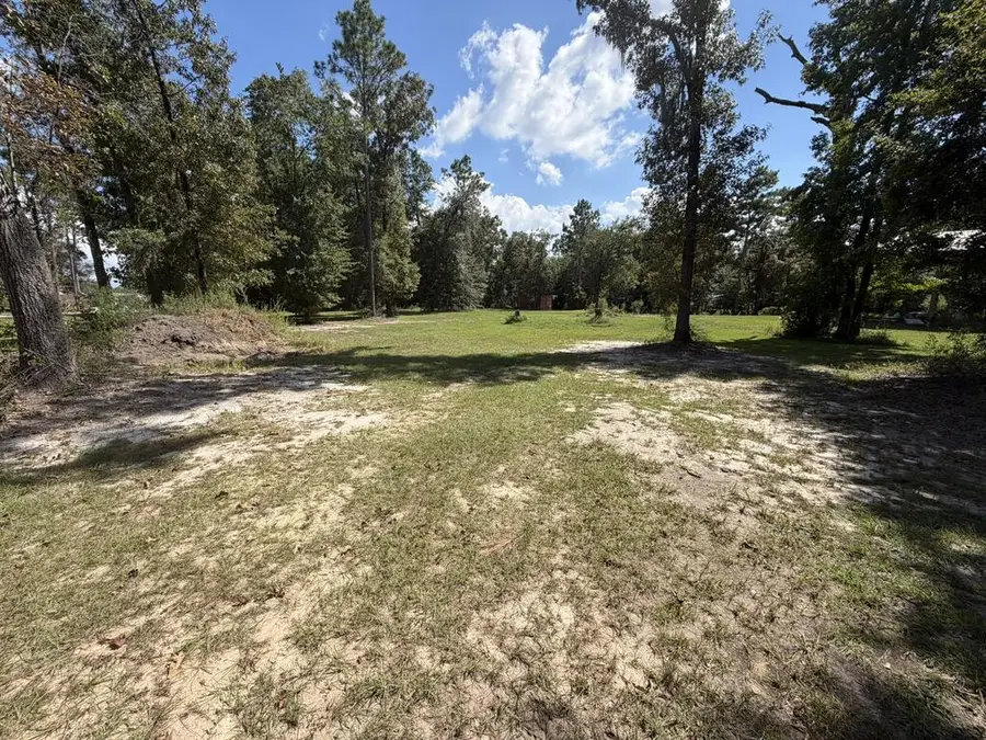 Lot 762 Lake Virginia Drive, Donalsonville, GA 39845 - #2