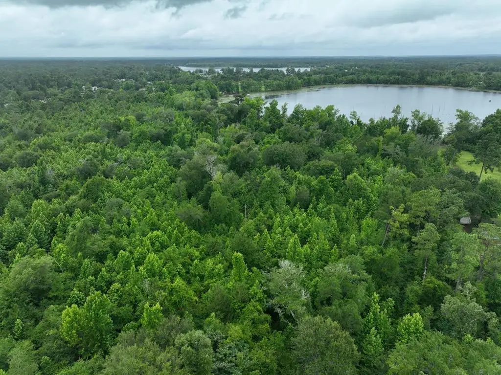 00 Holly Island Dr, Donalsonville, GA 39845 - #1