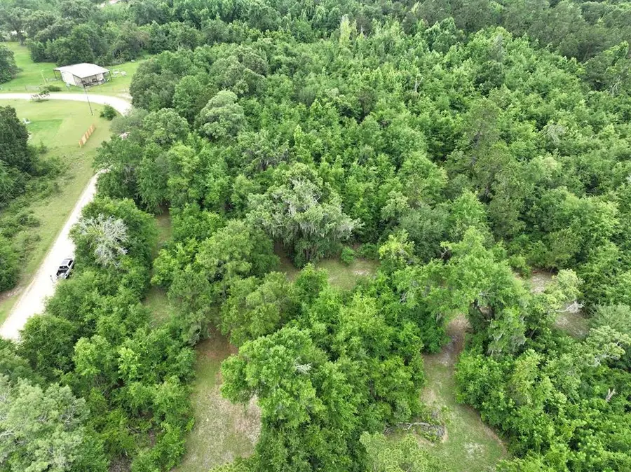 00 Holly Island Dr, Donalsonville, GA 39845 - #2