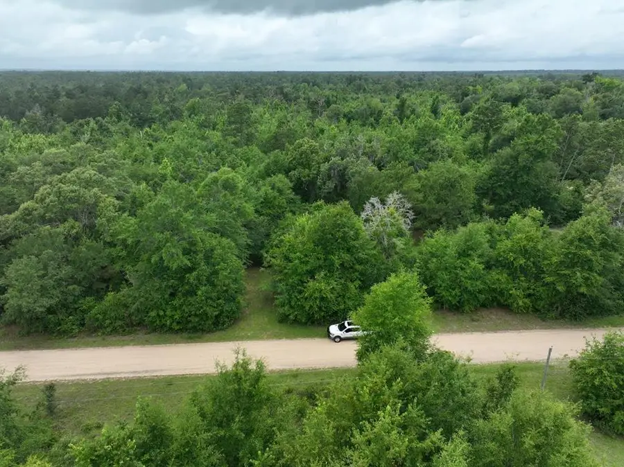 00 Holly Island Dr, Donalsonville, GA 39845 - #3