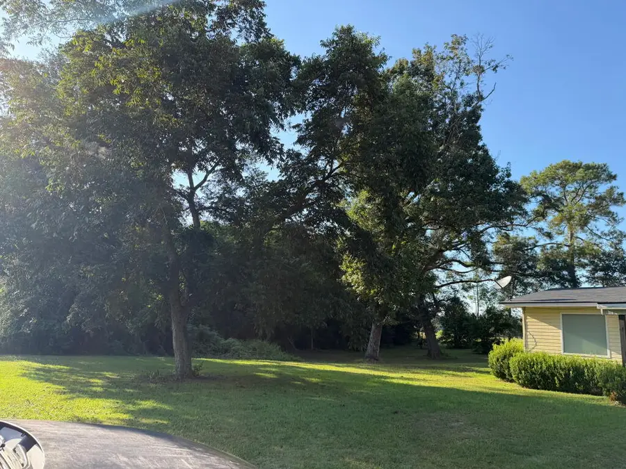 834 Griggs Lucille Rd, Colquitt, GA 39837 - #3