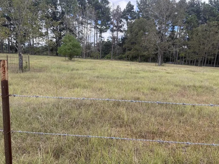 00 Griggs Lucille Rd, Colquitt, GA 39837 - #2