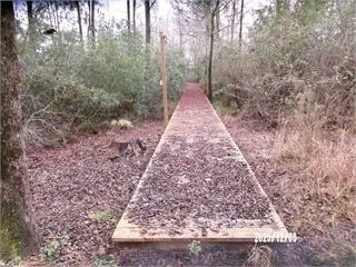 2289 Cove Dr, Donalsonville, GA 39845 - #2