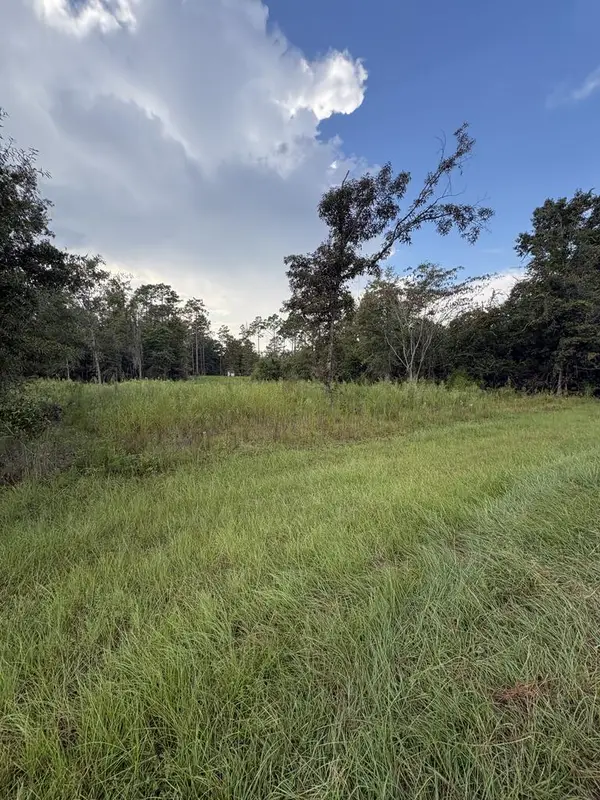 Lot 60 Lake Carroll Drive Lot 60, Donalsonville, GA 39845
