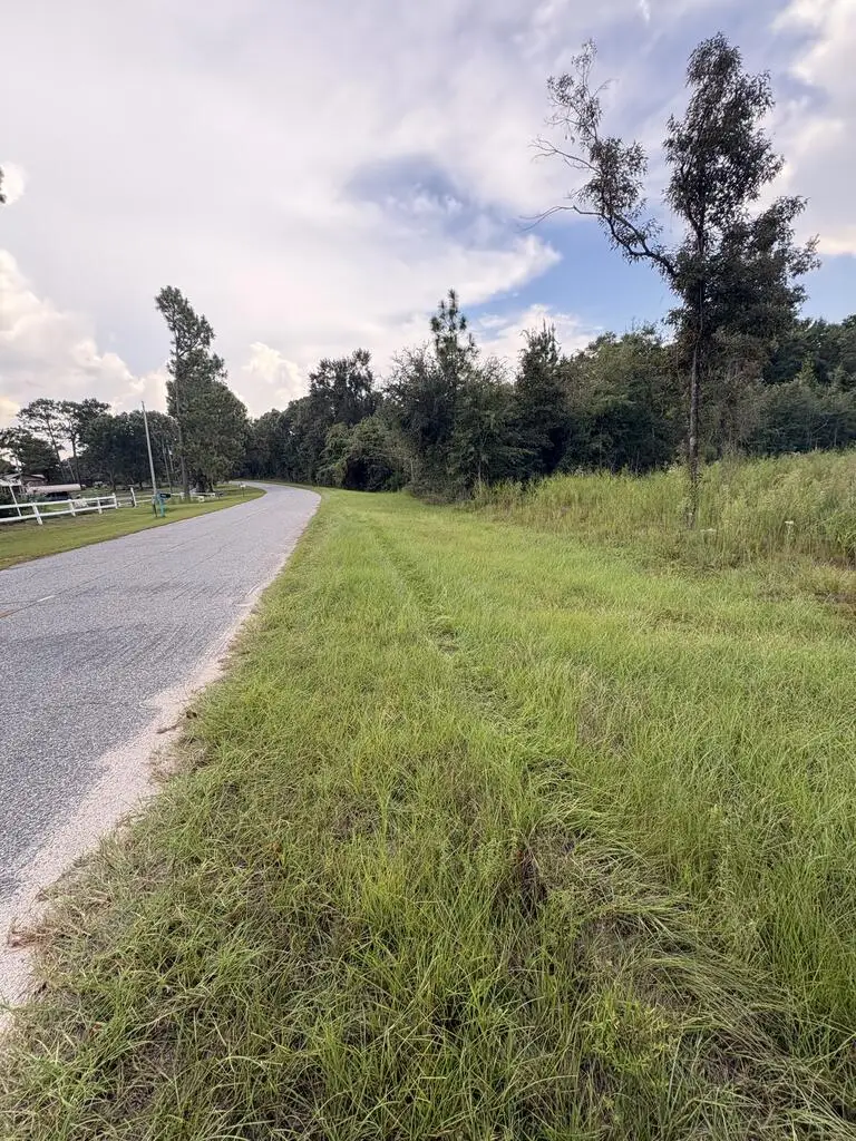 Lot 60 Lake Carroll Drive Lot 60, Donalsonville, GA 39845 - #2