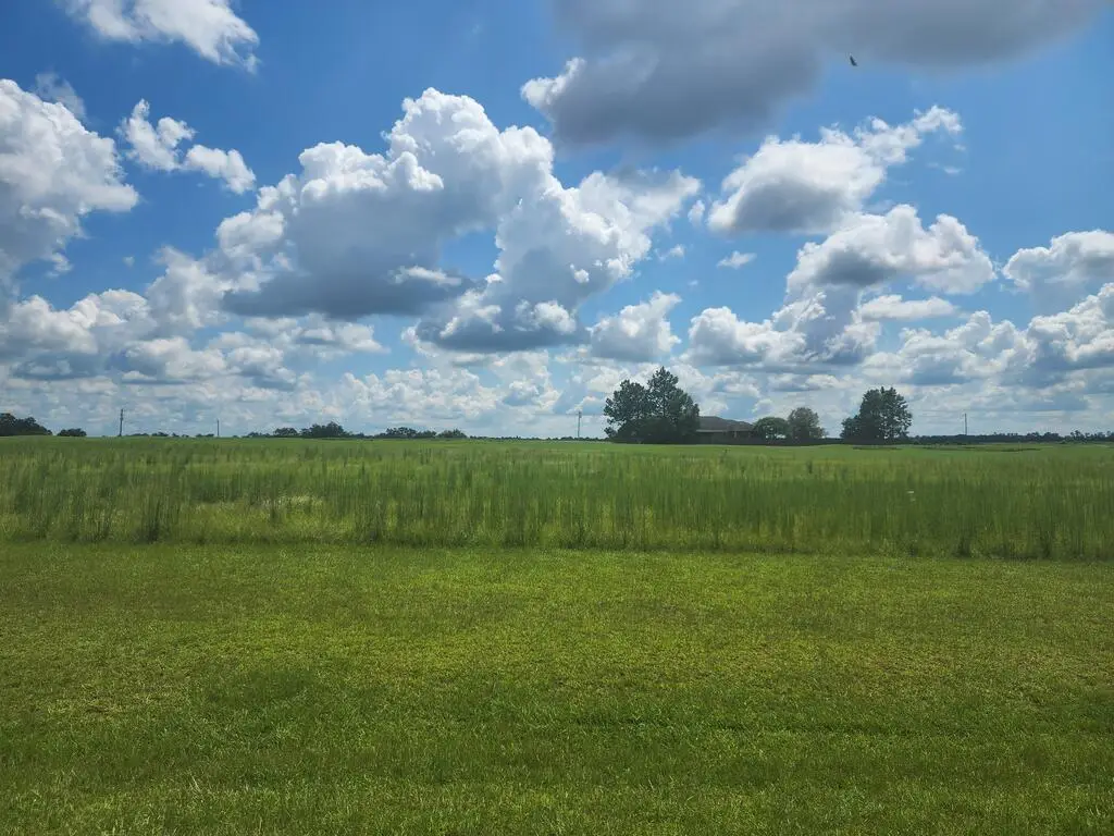 113 Crooked Oak Ln, Colquitt, GA 39837 - #1