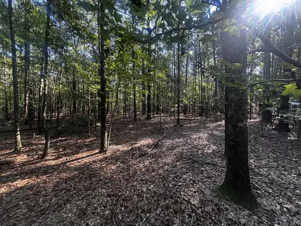 6.34 ac Sandy Branch Rd, Fort Gaines, GA 39851