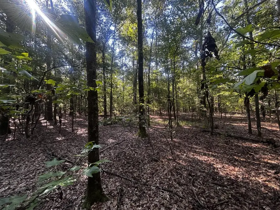 6.34 ac Sandy Branch Rd, Fort Gaines, GA 39851 - #3