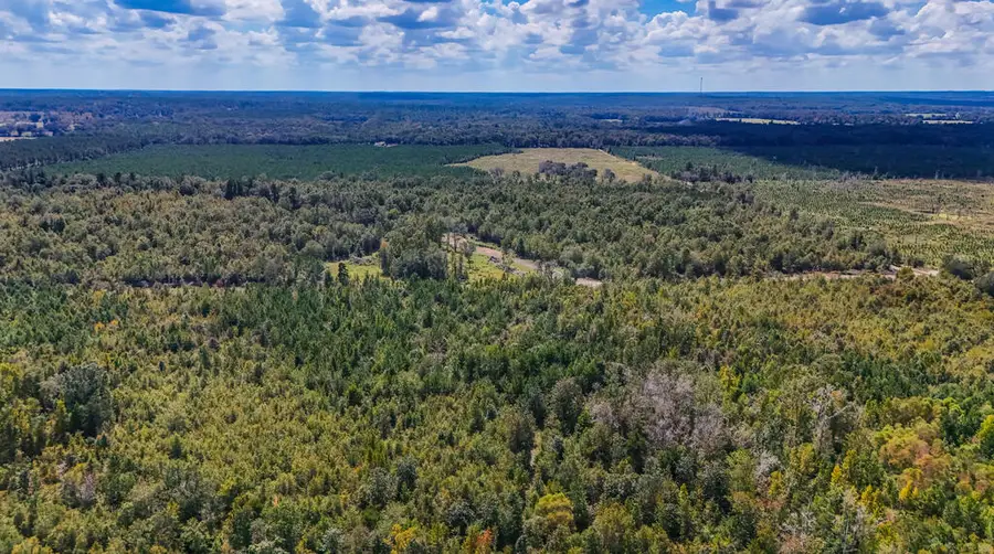 Lot 160 Thomasville Road, Bainbridge, GA 39819 - #3