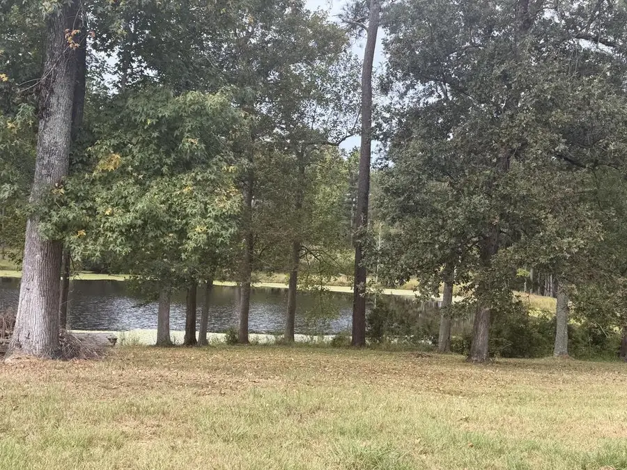 218 Hidden Springs Rd, Climax, GA 39834 - #3