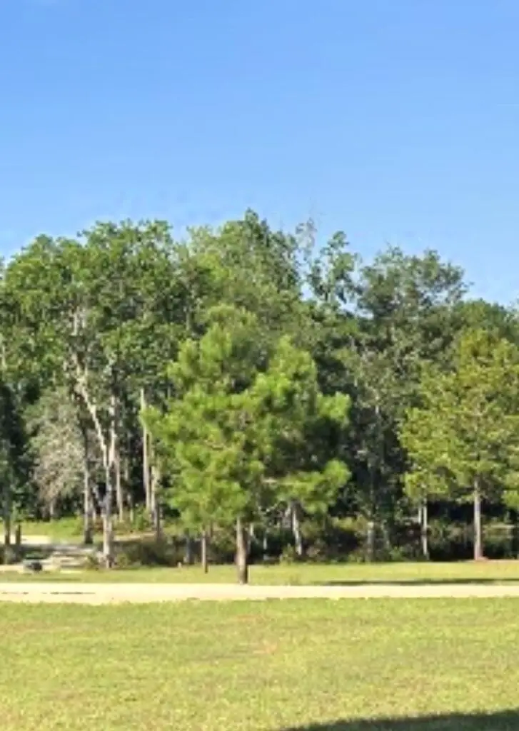 371 Pear, Pavo, GA 31778 - #2