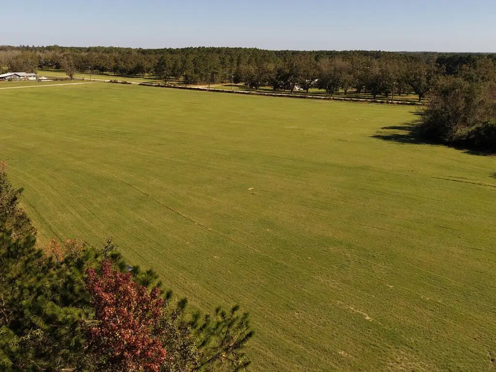 1032 Attapulgus Whigham Road, Whigham, GA 39897 - #1