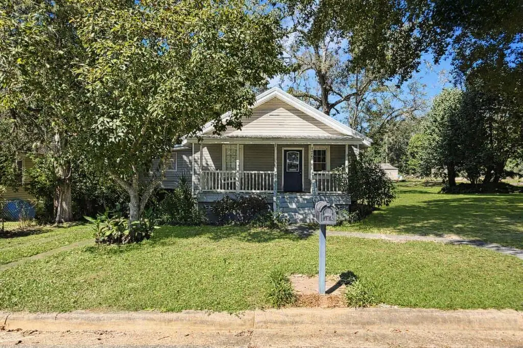 126 Village Lane, Attapulgus, GA 39815 - #1