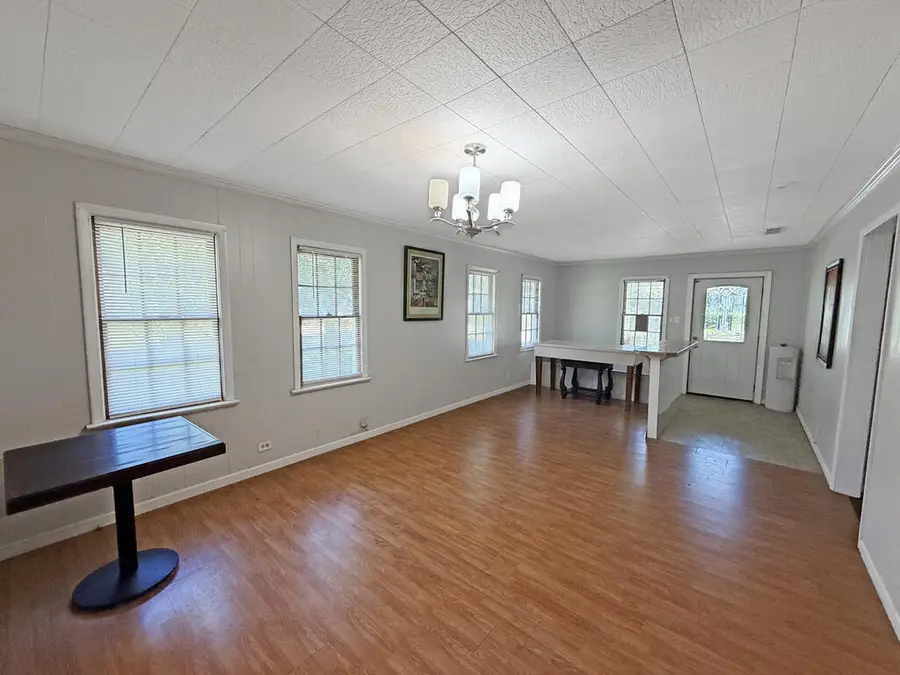 126 Village Lane, Attapulgus, GA 39815 - #3