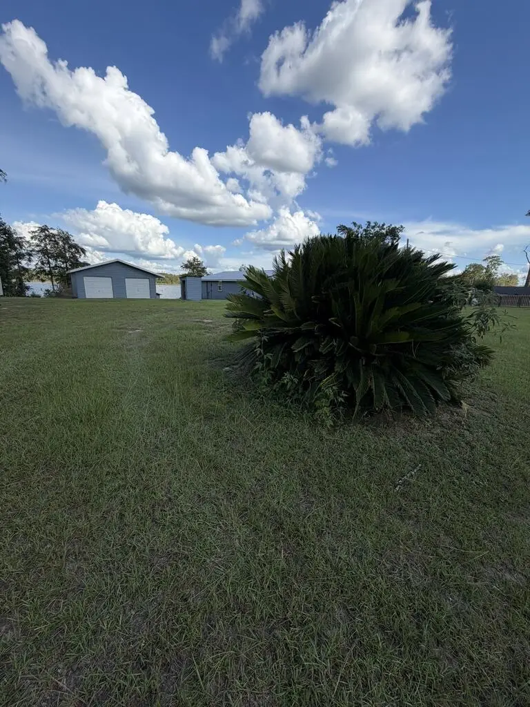 7859 Spring Creek Drive, Donalsonville, GA 39845 - #3