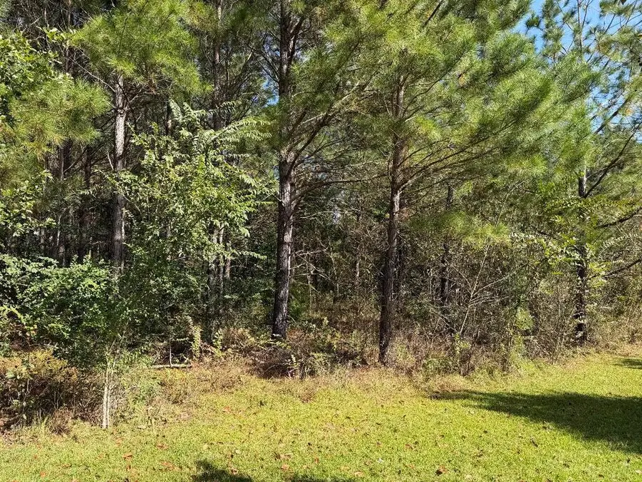 2.54 Ac N Hwy 188, Cairo, GA 39828 - #2