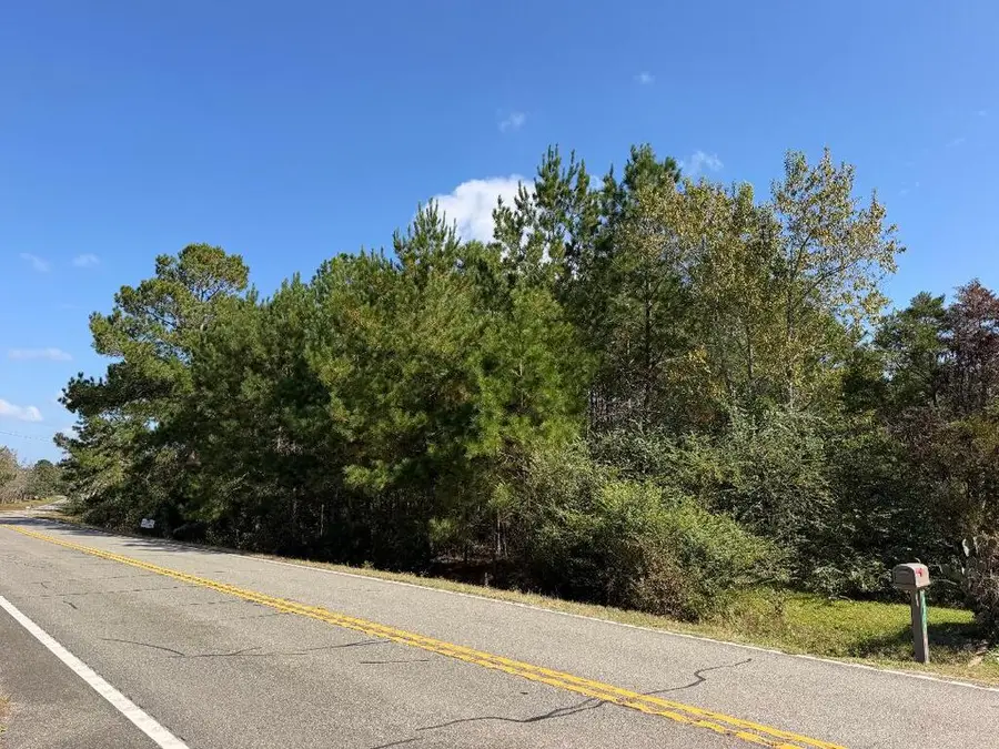2.54 Ac N Hwy 188, Cairo, GA 39828 - #3