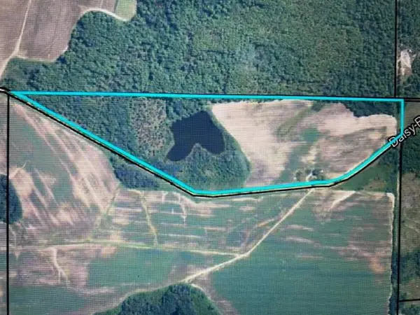 295 Daisy Rd (41.85 Acres With Pond), Tifton, GA 31750