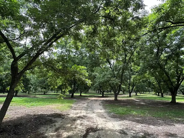 3109 E 84 Hwy, Cairo, GA 39828