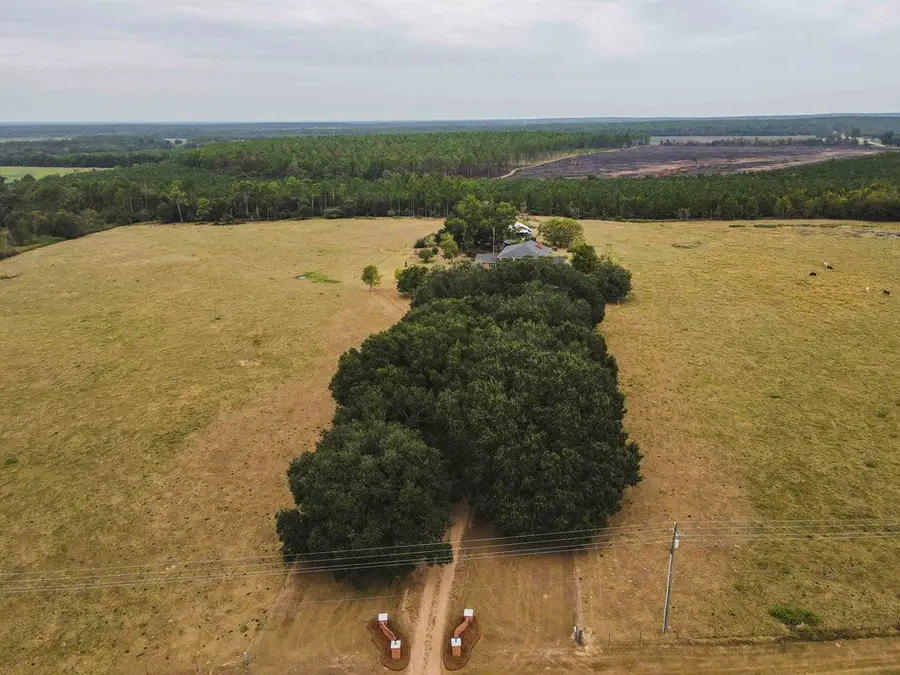 2780 Hwy 37 E. Pasture Acreage Only, Camilla, GA 31730 - Image #2