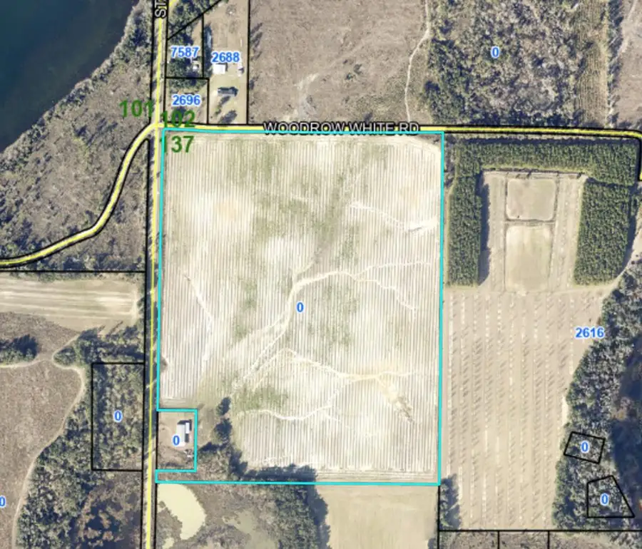 xxx Highway 374, Donalsonville, GA 39845 - Image #2