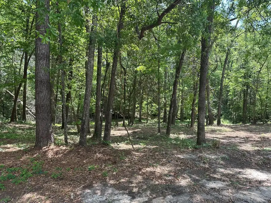 00 Harrogate Lane, Thomasville, GA 31792 - Image #2