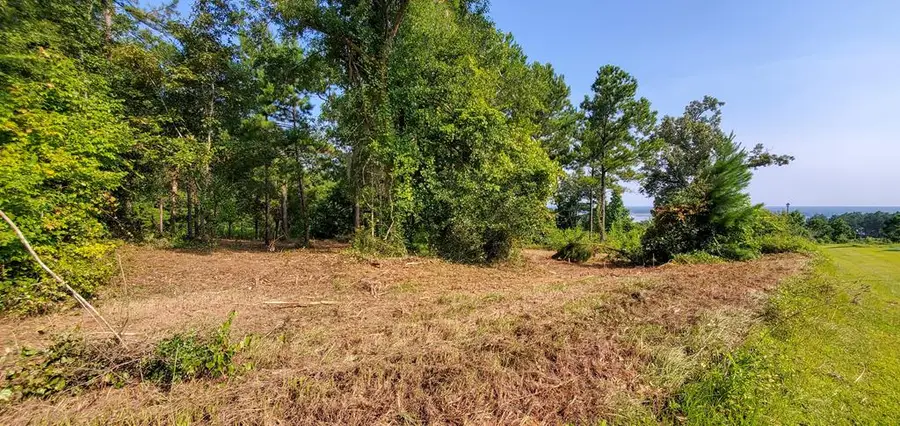 Lot 13 A Mountain View Way #13 A, Bainbridge, GA 39819 - Image #3