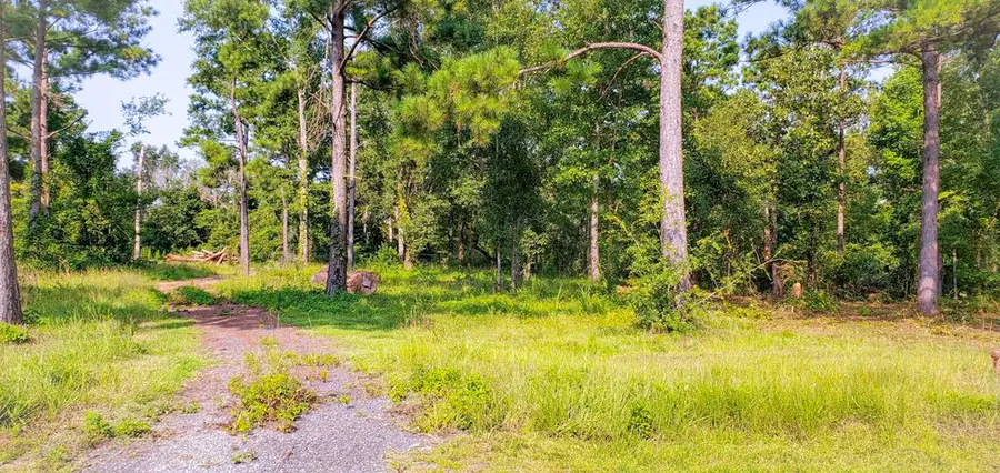 Lot 12 A Mountain View Way #12, Bainbridge, GA 39819 - Image #3