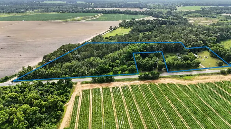 16343 Ga Hwy 33, 8.34 Acres, Pavo, GA 31778 - Image #3