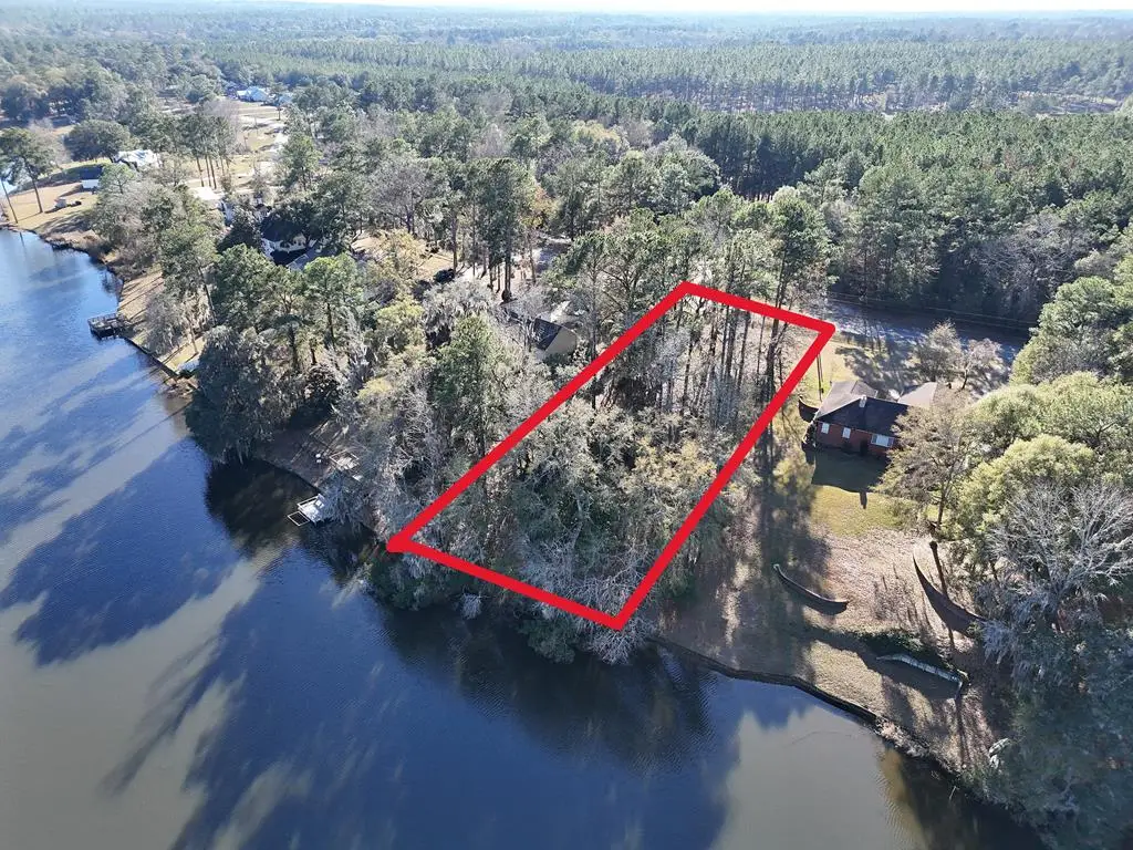 00 Parcel # 053a313/west Shore Dr/lot 21, Ochlocknee, GA 31773 - Image #1