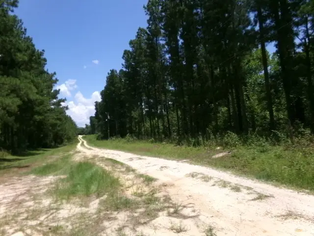 7647 Oscar Circle, Donalsonville, GA 39845 - Image #2