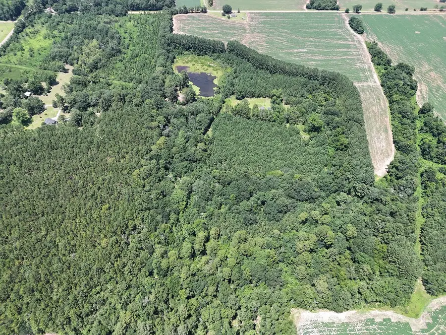 185 Community Lane, Boston, GA 31626 - Image #2