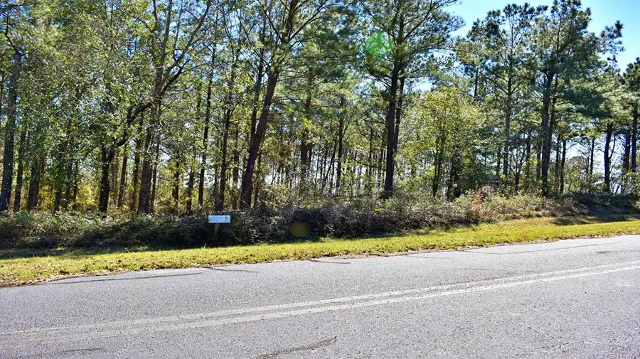 Lot 5/6 Block A, Mountain View Way #5, 6, Bainbridge, GA 39819 - #2