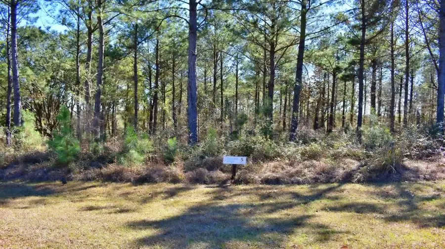 Lot 5/6 Block A, Mountain View Way #5, 6, Bainbridge, GA 39819 - #3