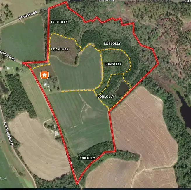 1168 Mitchell Road (112 Acres), Meigs, GA 31765 - Image #1