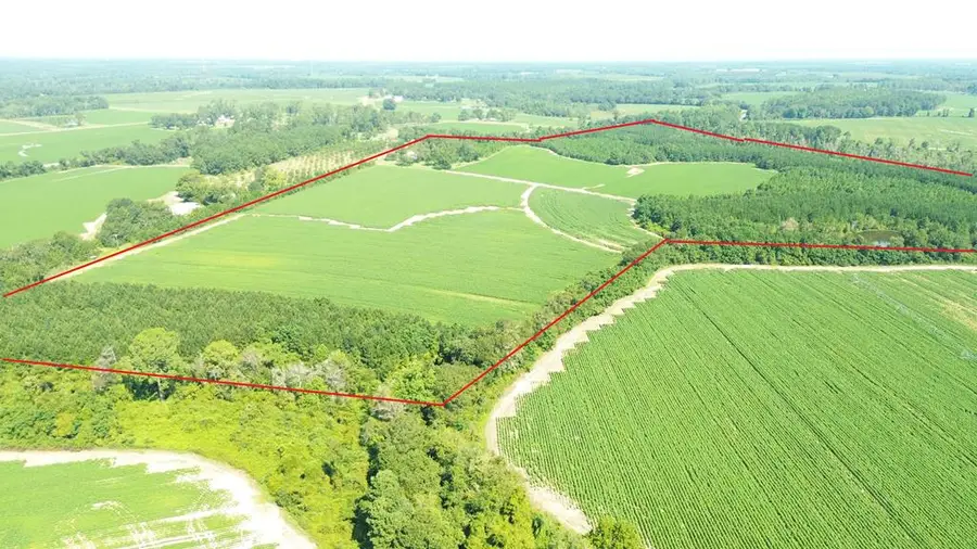 1168 Mitchell Road (112 Acres), Meigs, GA 31765 - Image #3