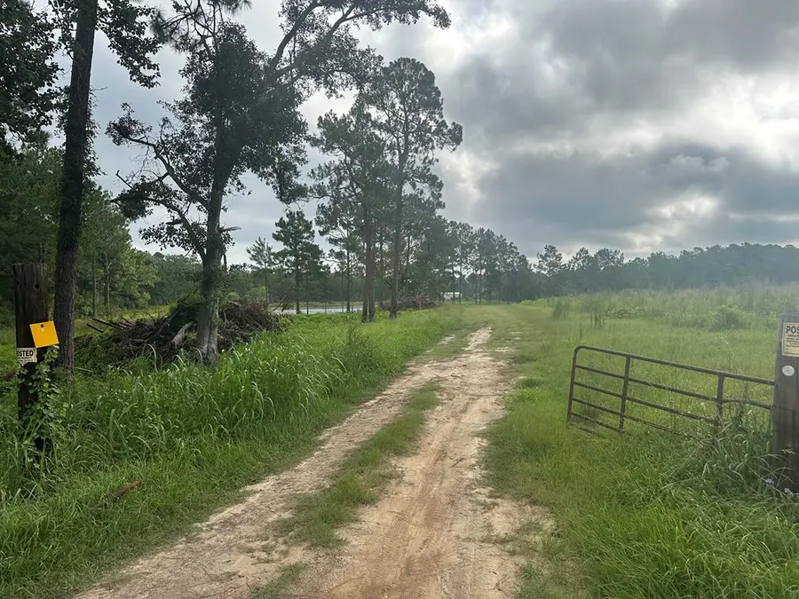 27286 N Us Hwy 19, Ochlocknee, GA 31773 - Image #2