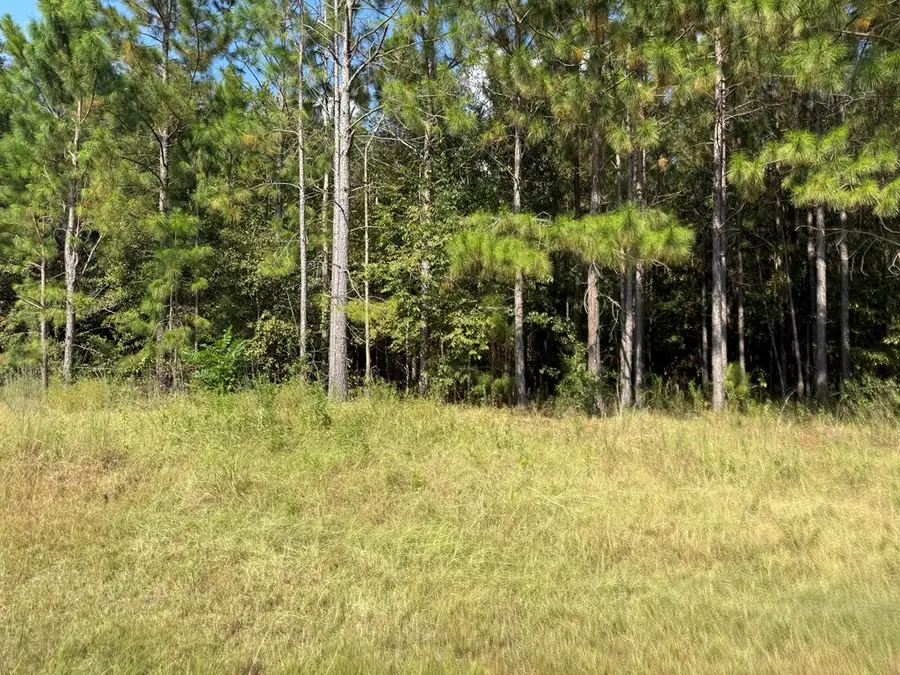 0 Wade Rd., Pelham, GA 31779 - Image #2