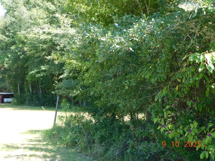 00 Leverne Lane, Pelham, GA 31779 - Image #3