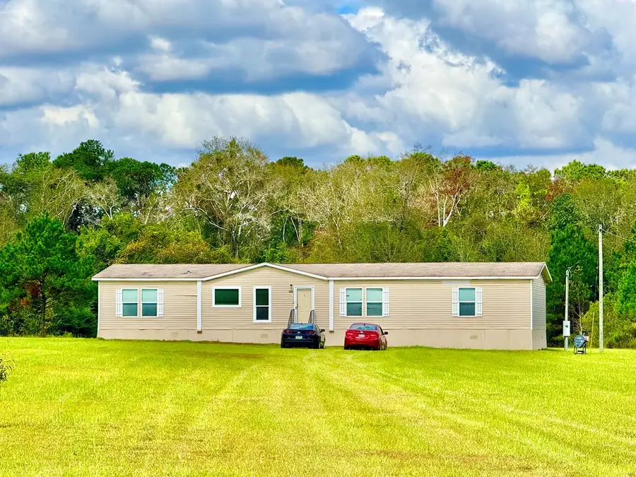 539 Lake Douglas Drive Ext Drive, Climax, GA 39834 - Image #3