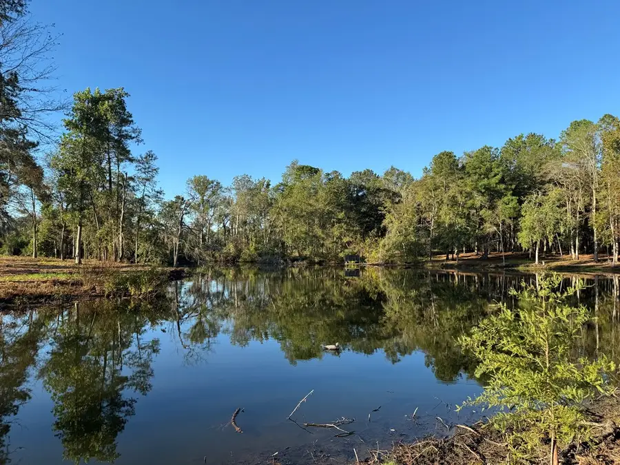 963 Pope Store Rd, Ochlocknee, GA 31773 - Image #3