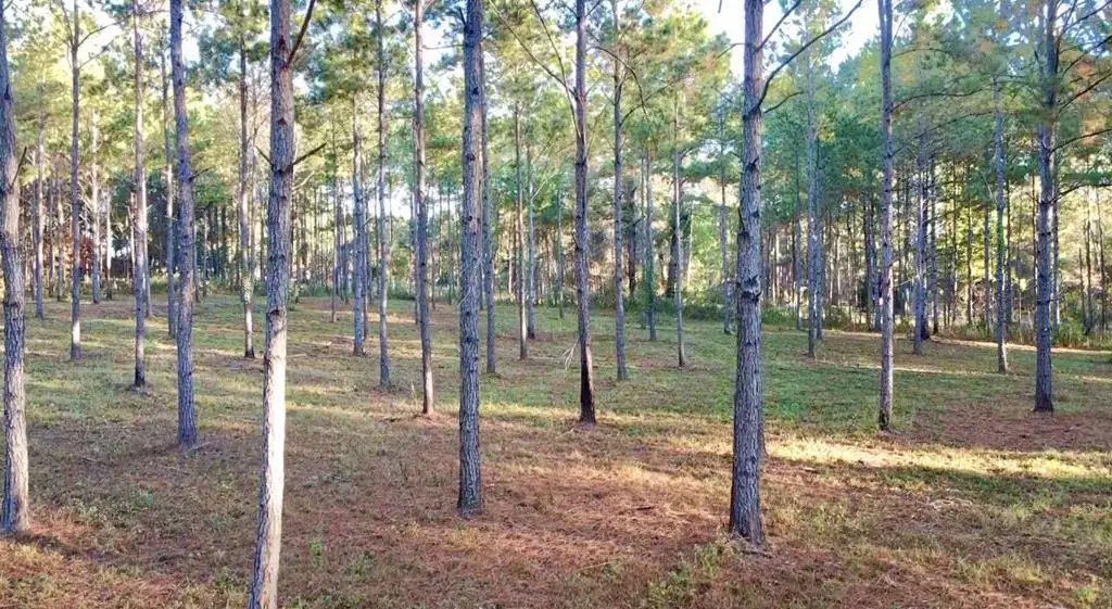 00 Collins Road, Cairo, GA 39828 - Image #1