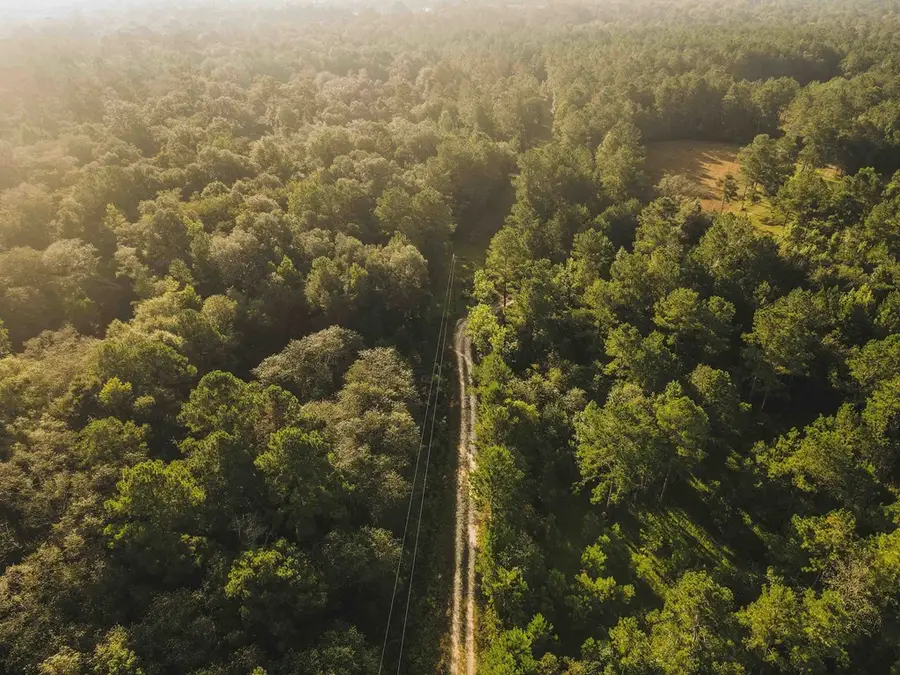 210 N Egg & Butter Rd., Ochlocknee, GA 31773 - Image #3