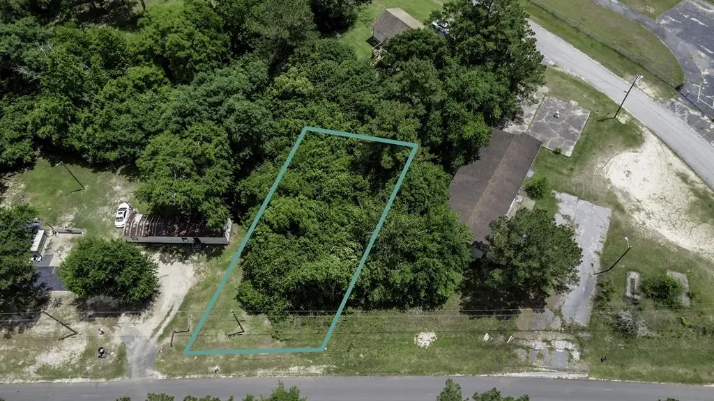 Lot 33 Thomas St (lot 33 Mcgriff Subdivision), Attapulgus, GA 39815 - #1